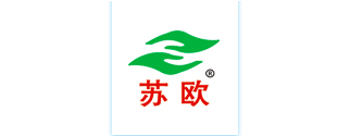 模板系统